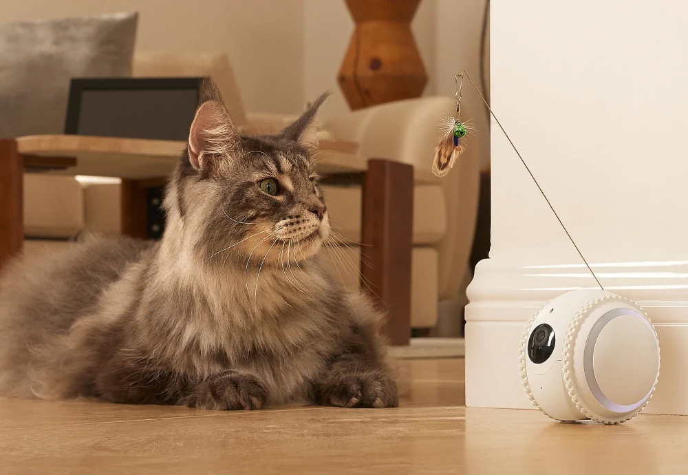 best indoor pet monitoring camera