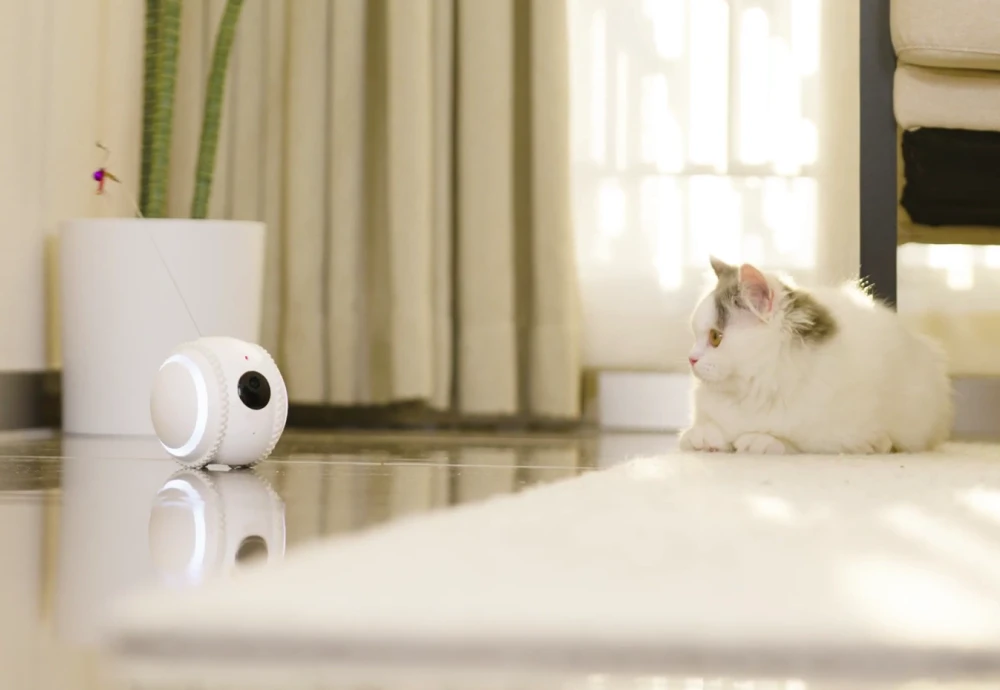 pet camera that moves