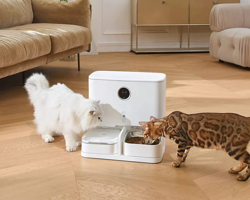 automatic pet feeder bowl