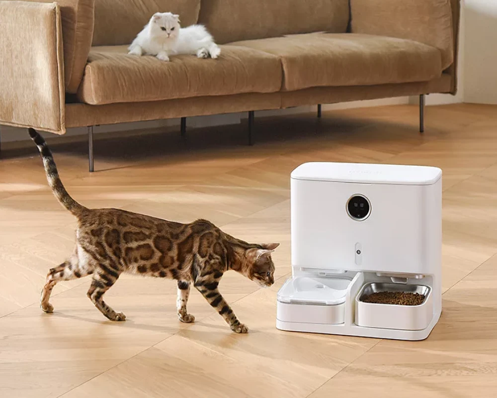 automatic pet feeder multiple cats