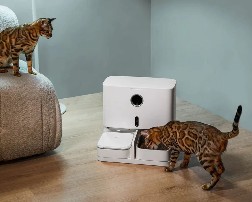 pet food and water dispenser