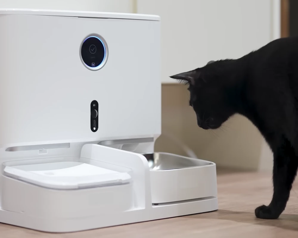 automatic pet feeder multiple cats